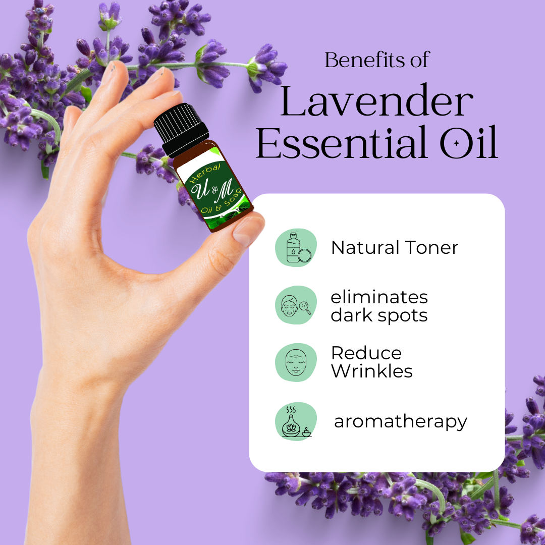 Lavender Essential Oil - 10ml - Cosmetic Grade - U&M herbals